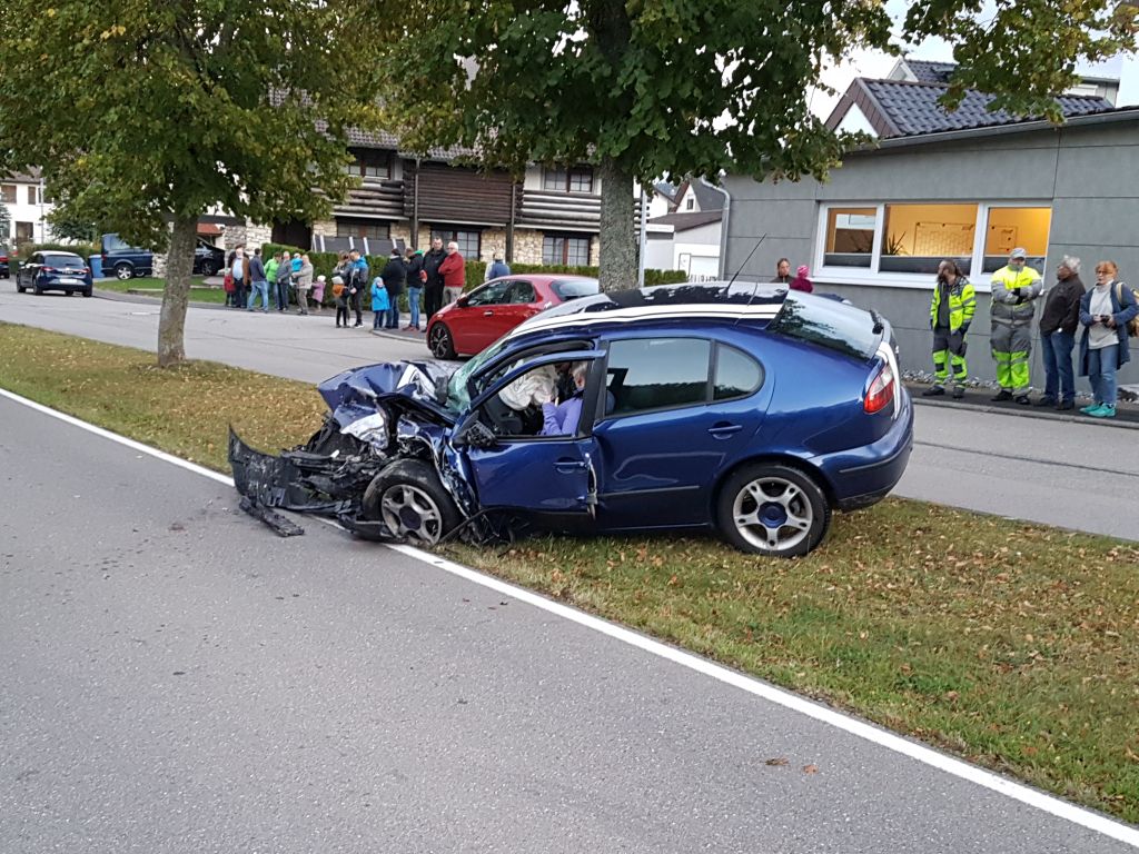 Rettungsübung 01.10.2018 in Mühlheim an der Donau